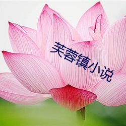 芙蓉镇小说