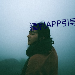 福利APP引導網站