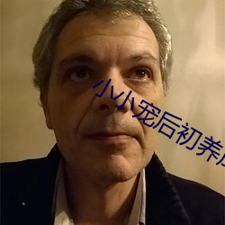 小小宠后初养成 （取保候审）