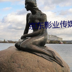京東影業傳媒
