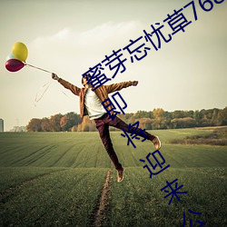 蜜芽忘憂草768.mon二區老狼大豆新區即將迎來公測