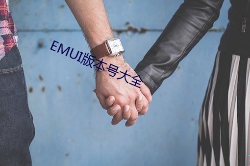 EMUI版本号大全