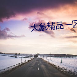 大象精品一区二区三(sān)区2020