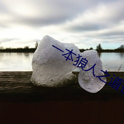 一本狼人之道芒果