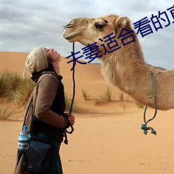 夫妻適合看的直播