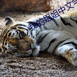 我的姐姐中文字幕