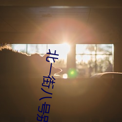 北一街八(八)号(號)别(別)墅出(出)售信息