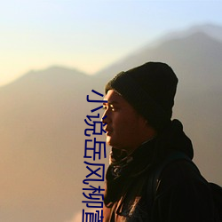 小说岳风柳萱