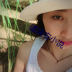 温瑞(瑞)安(安)小说