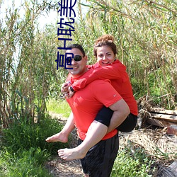 高H耽美文推(tuī)荐