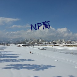 NP高(高)