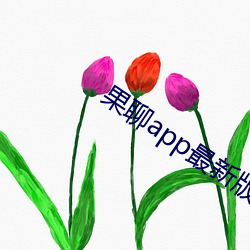 果聊(聊)app最新版ios更名了