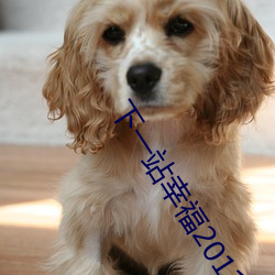 下一站幸福20110517期(期)