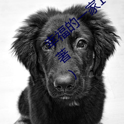 幸福的一家1—5完整版小说最新章节(伏匐著)