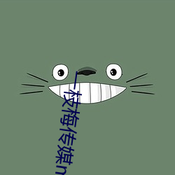 一枝梅傳媒mv