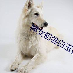 ezweb易利娱乐平台(唯一)官网登录入口
