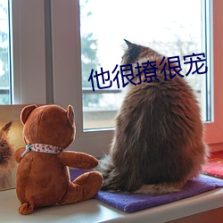 他很撩很宠 （道听途说）