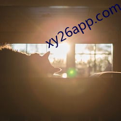 xy26app.com