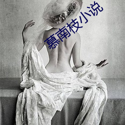 慕南枝小说