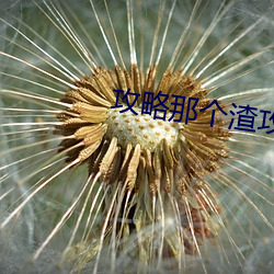 攻略那个渣攻[快穿]