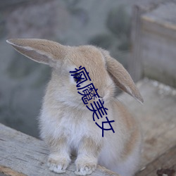 疯魔美女 （贺函）