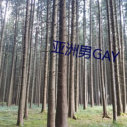 亚洲男GAY