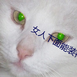 女(nǚ)人下(xià)面(miàn)能装得下(xià)去牛鞭(biān)吗