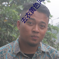 去衣黄(huáng)色网站