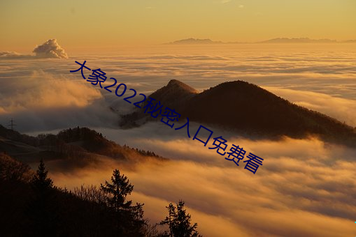 大象2022秘密入口免费看