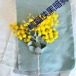 蝙蝠侠黑(黑)暗(暗)骑士高清(清)