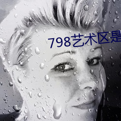 798艺术(shù)区是私人的吗