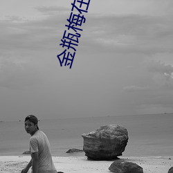 金瓶梅在线(xiàn)完(wán)整版中文免费(fèi)