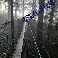 青瓷在線觀看