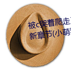 被c哭着爬走又被拉回来挺进h最新章节(小萌狼著)