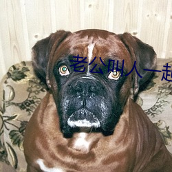 老公(gōng)叫人一起多人运