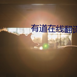 有道在线翻(翻)译