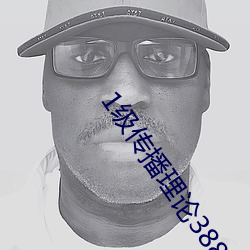 1級傳播理論388484