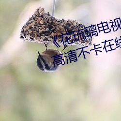 《花琉璃電視劇免費觀看完整版》高清不卡在線觀看