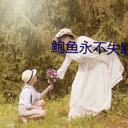 鲍鱼永不失联