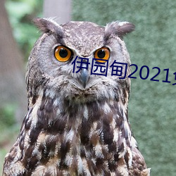 伊園甸2021免費入口