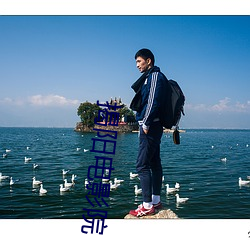 金年会 | 诚信至上金字招牌