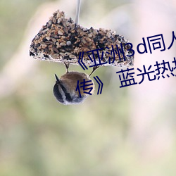 《亚(亞)洲3d同人(人)动画(畫)斗(鬥)破苍穹云韵传(傳)》 蓝(藍)光热播电影(影)在线观看