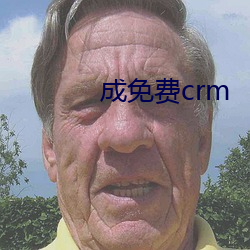 成免费crm