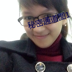 秘(秘)密通道(道)图1