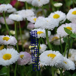 黑暗西遊記