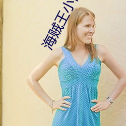 海贼(賊)王(王)小说