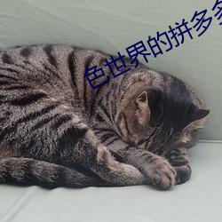 色世界的拼多多9888