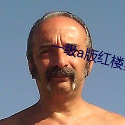 一级a版红楼梦