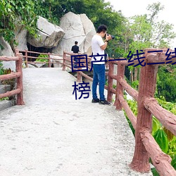 国产(産)一线二(二)线三线(線)女装品牌排行(行)榜