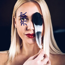 齐(齊)欢